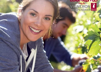 Vendangeur d'un jour - Vignerons Indépendants