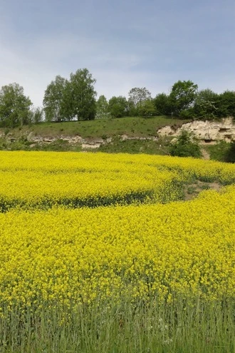 Hauts-de-France