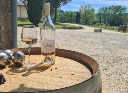 Un rosé et une pétanque - Vignerons Indépendants