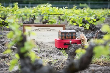 A la recherche de la Cuvée Perdue - Vignerons Indépendants