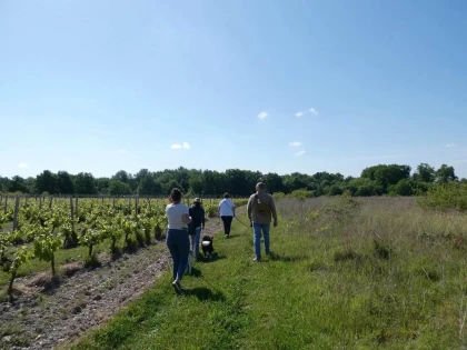 APERO TOUTOU - Vignerons Indépendants