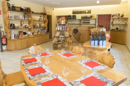 Domaine Pierre Adam : Atelier Découverte des Vins d'Alsace & Visite de Cave à Ammerschwihr - Vignerons Indépendants