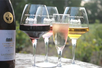 Atelier Dégustation au Château de Bellevue - Vignerons Indépendants