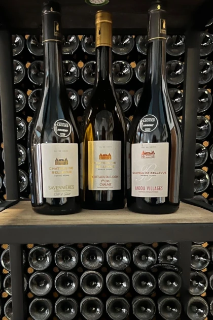 Atelier Dégustation au Château de Bellevue - Vignerons Indépendants