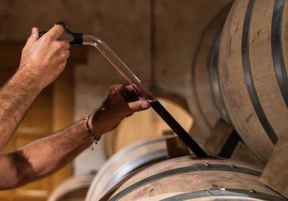 Atelier Dégustation sur barrique - Vignerons Indépendants