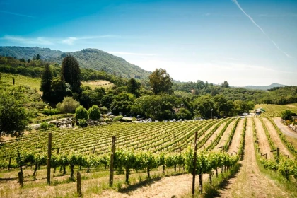 Atelier dégustation - Vignerons Indépendants