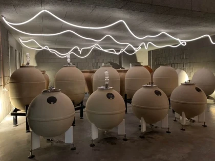 Atelier Oenologie - Vignerons Indépendants