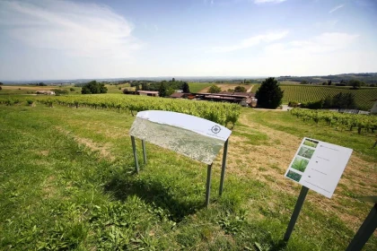 🌿 Balade au cœur des vignes – Parcours libre et pédagogique - Vignerons Indépendants
