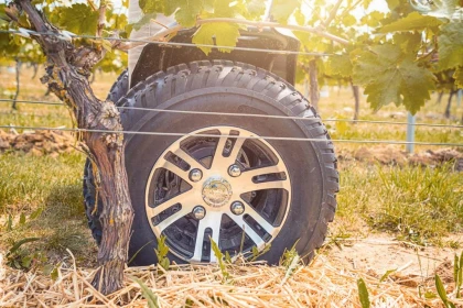 Balade en gyropode ou trottinette électrique dans le vignoble et visite dégustation - Vignerons Indépendants