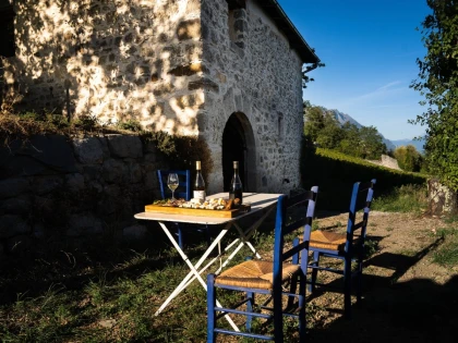 Balade gourmande au milieu des vignes le 18 octobre - Vignerons Indépendants