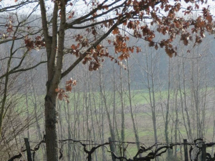 Balade pédestre Le  sentier de l'estuaire - Vignerons Indépendants