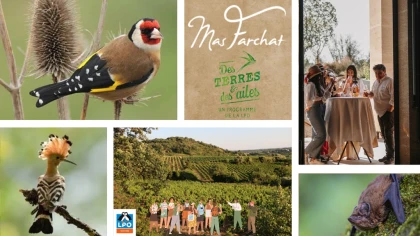 Biodiversité & Pause Gourmande - Vignerons Indépendants