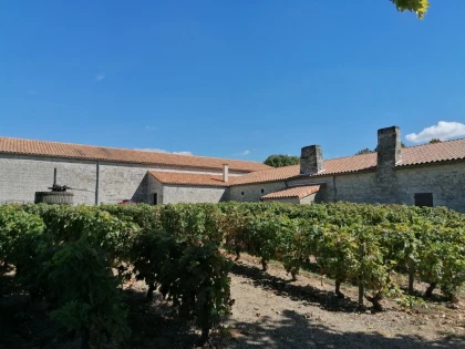 BON CADEAU "Découverte de Villemont" - Vignerons Indépendants
