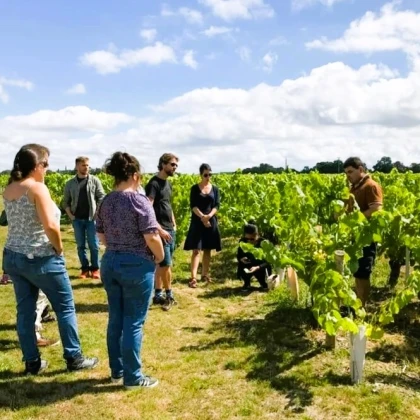 Bon cadeau pour une visite des vignes aux chais - Vignerons Indépendants
