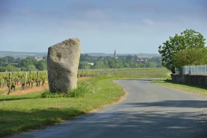 Château de la Viaudière - Vignerons Indépendants