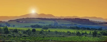 Château Juvenal - Vignerons Indépendants