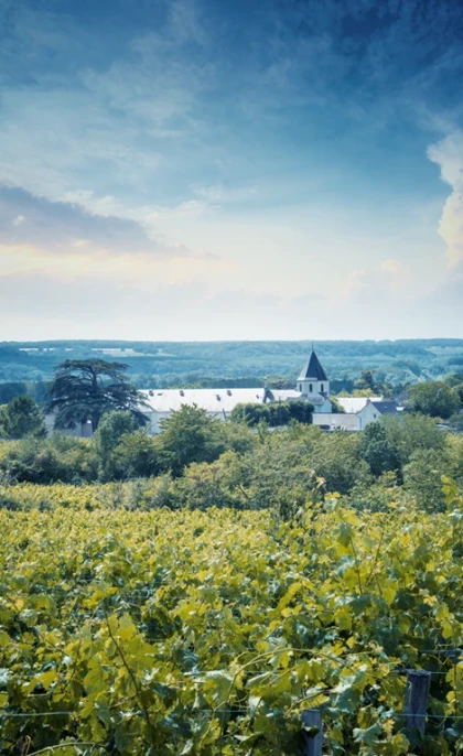 Chez Pierre & Bertrand Couly - Vignerons Indépendants