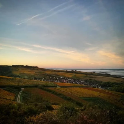 De gîtes en vignes - Vignerons Indépendants