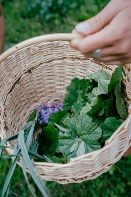 De l'Etang à l'assiette - Vignerons Indépendants