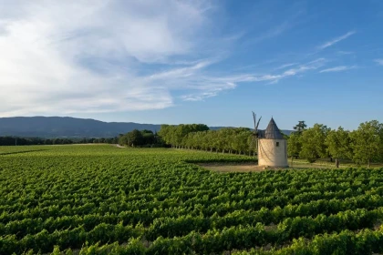 De la Vigne au Verre - Vignerons Indépendants