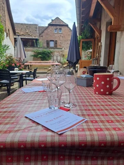 Découverte du Domaine - Vignerons Indépendants