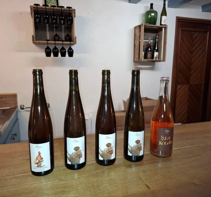 Découverte gourmande : visite, dégustation et planchette locale - Vignerons Indépendants
