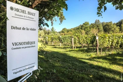 DECOUVREZ UN VIGNOBLE PIONNIER EN AGROECOLOGIE. - Vignerons Indépendants