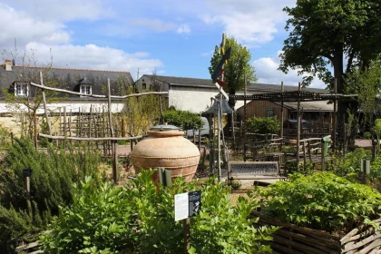 Défis sensoriels au jardin ! - Vignerons Indépendants