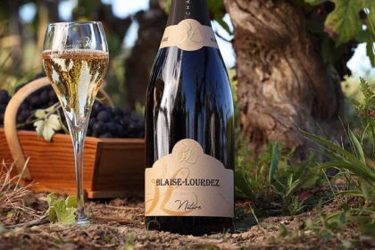 Champagne Blaise Lourdez : Dégustation chez un artisan vigneron à Damery - Vignerons Indépendants