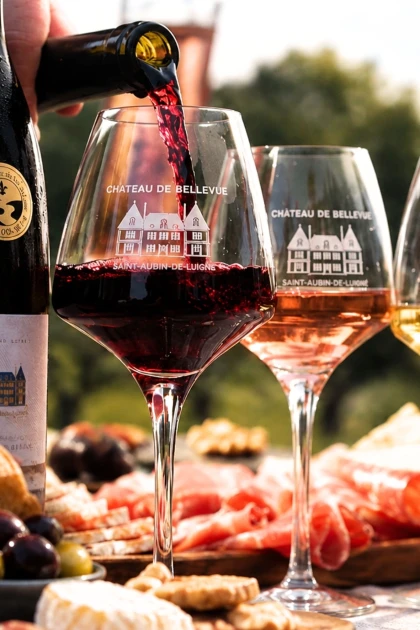 Dégustation au Château de Bellevue autour d'une planche charcuterie & fromage - Vignerons Indépendants