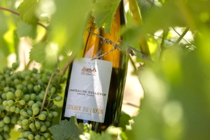 Dégustation "Chenin" autour d'une assiette apéritive au Château de Bellevue - Vignerons Indépendants