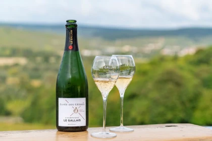 Dégustation commentée de 3 Champagnes - Vignerons Indépendants