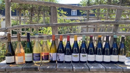Dégustation complète - Vignerons Indépendants