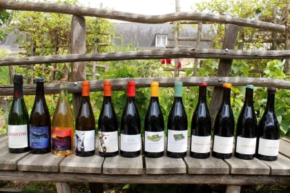 Dégustation complète - Vignerons Indépendants