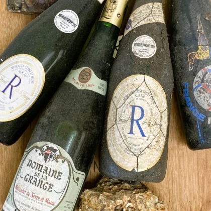 Dégustation de vieux millésimes - Vignerons Indépendants