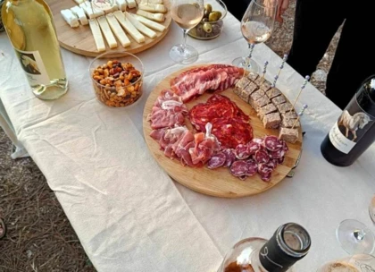 Dégustation de vin et de tapas en pleine nature - Vignerons Indépendants