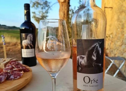 Dégustation de vin et de tapas en pleine nature - Vignerons Indépendants