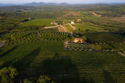 Dégustation et Délices à La Mascaronne - Vignerons Indépendants