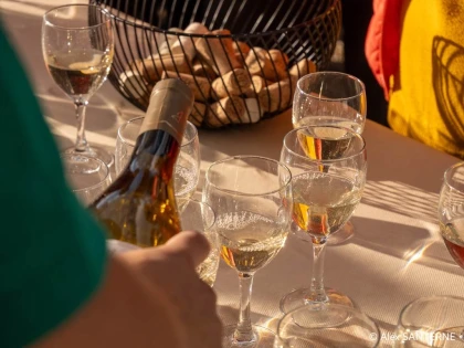 Dégustation - Vignerons Indépendants
