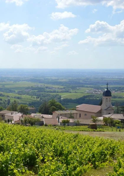 Domaine Christophe Savoye - Vignerons Indépendants