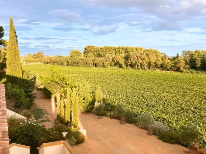 Domaine de l'Herbe Sainte - Vignerons Indépendants