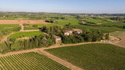 Domaine de la Conseillère – Gîte de charme à Montagnac (Hérault) - Vignerons Indépendants