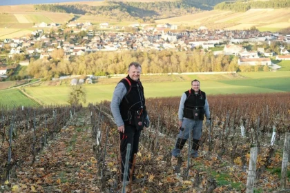 Domaine Petitjean - Vignerons Indépendants