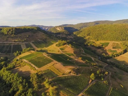 Domaine Rondeau - Vignerons Indépendants