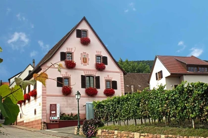 DOMAINE WECK FRANÇOIS - Vignerons Indépendants