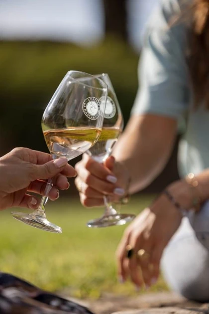 Échappée gourmande à La Mascaronne : Visite - Dégustation - Pique-nique au coeur du vignoble - Vignerons Indépendants