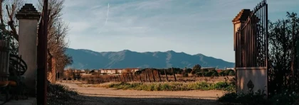 Entrée en matière : vigne, chais et vins - Vignerons Indépendants
