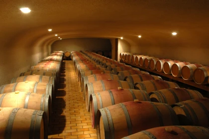 Entrez dans le quotidien d'un Vigneron Indépendant! Visite guidée des vignes, des chais et dégustation-durée 45 min - Vignerons Indépendants