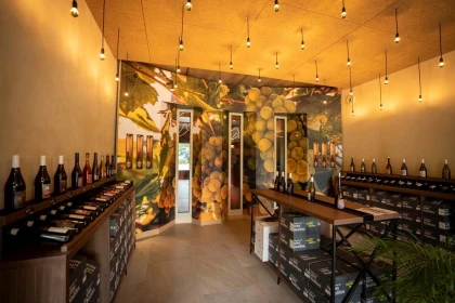 Visite & Dégustation – Découvrez les secrets du Muscadet au Domaine Les Hautes Noëlles - Vignerons Indépendants
