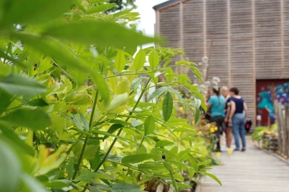 Expérience au Jardin"Des vins de la Terre au Ciel" - Vignerons Indépendants